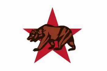 изготовленный на заказ медведь Calfonia 3x5 футов с большим звездным флагом для рекламы, фестиваля, деятельности, изготовленный на заказ флаг истории бизнеса хобби